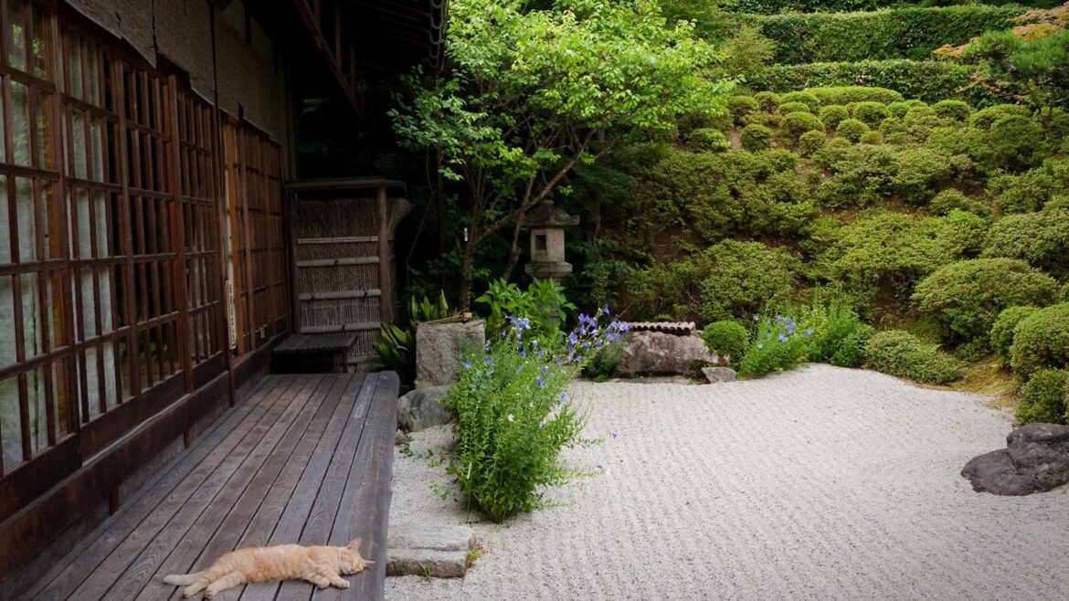 Outside a rural house