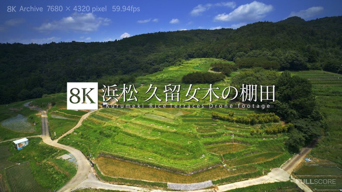 [8K footage] Kurumeki Rice Terraces Drone footage【浜松 久留女木の棚田 空撮_8K】