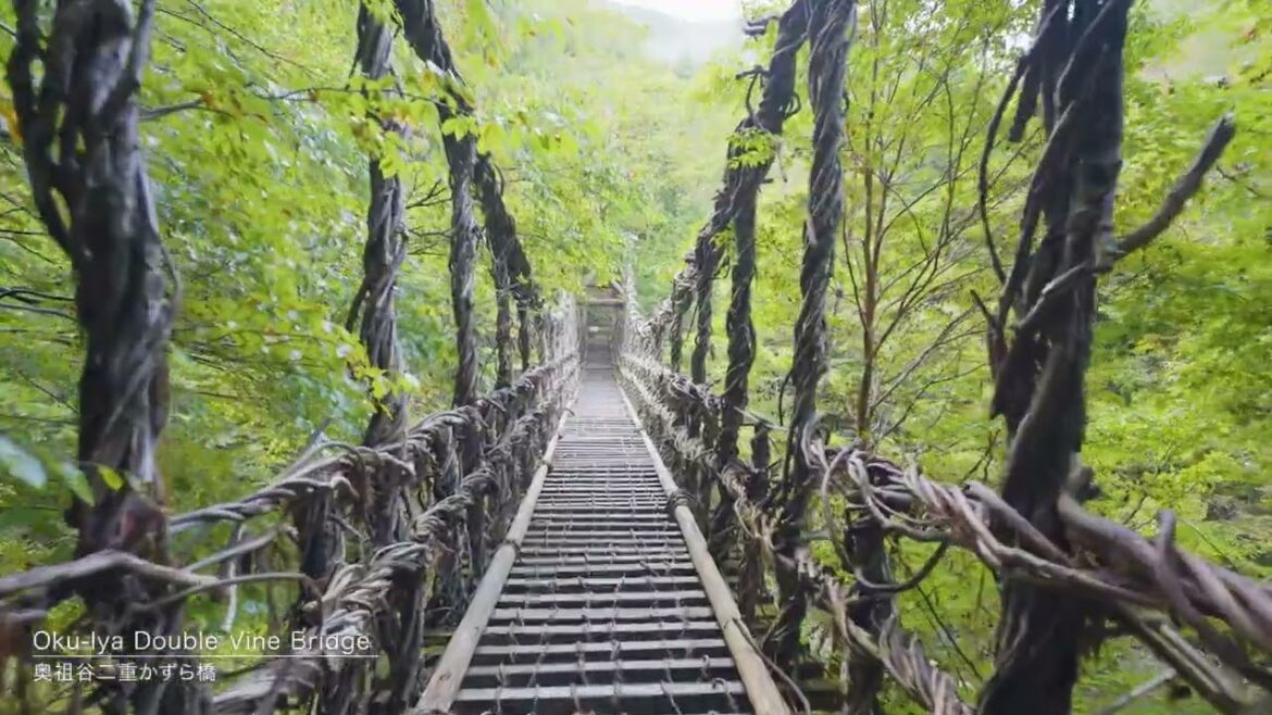 ''Hidden' Iya Valley: Across this bridge is one of Japan's best-kept secrets!