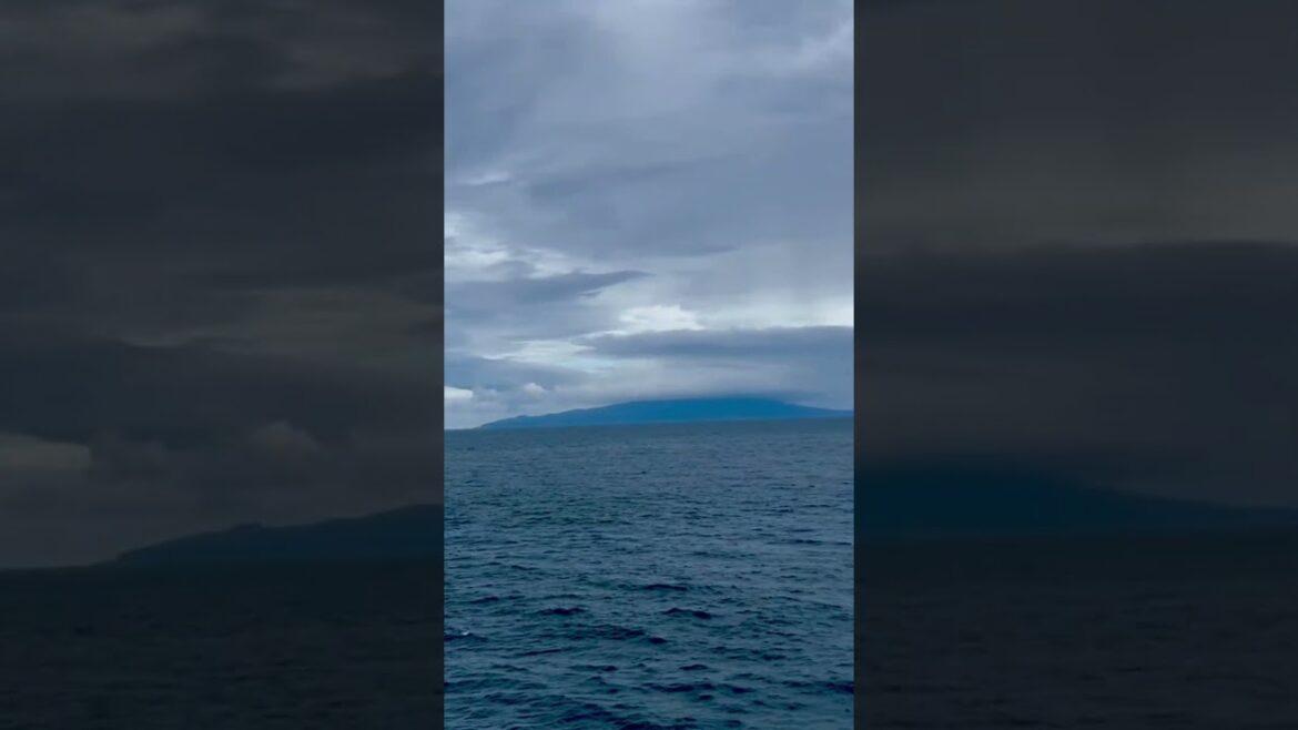 Jogasaki coast shizuoka ❤️ #japan #travel #shortsvideo