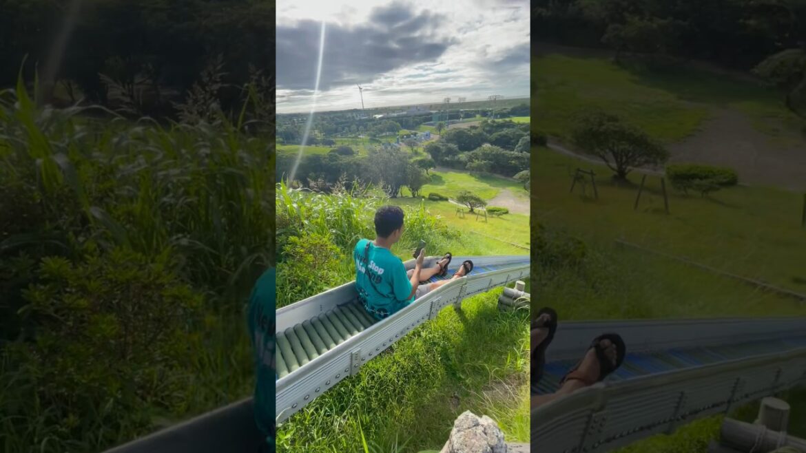 Keindahan taman belakang rumah di jepang🇯🇵 #jepang #shizuoka #travel