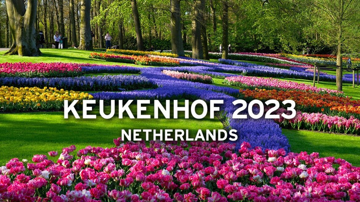 🇳🇱 Keukenhof, April 30, 2023 - Netherlands   [4K]