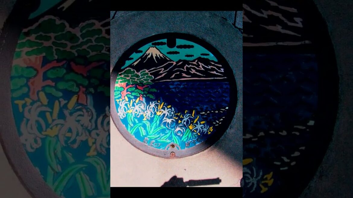 Numazu & Mishima Manhole Cover |  沼津市 & 三島 マンホール  #japan #travel #shizuoka #shorts