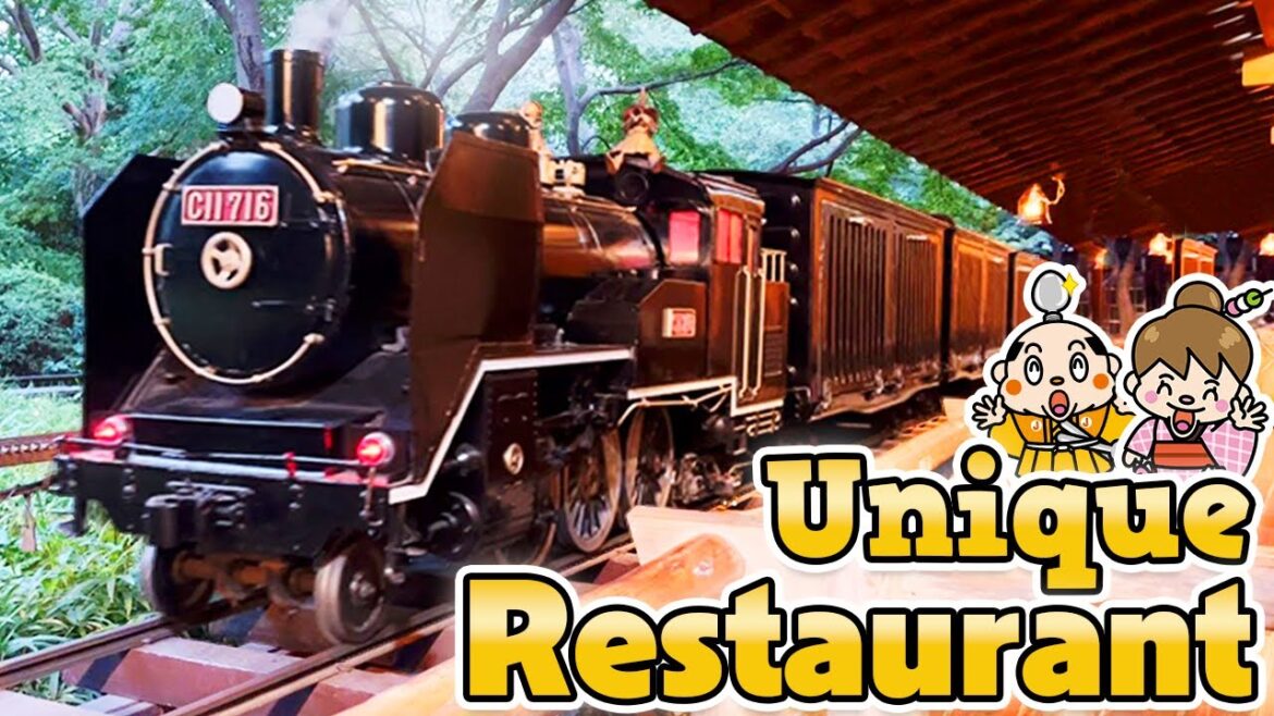 Steam Locomotive Restaurant in Tokyo, Japan / Yakiniku, Seafood bowl