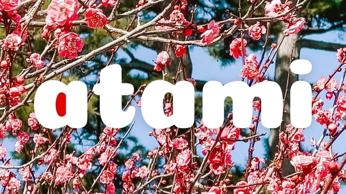 day trip to atami 🌸 🏖️ winter cherry blossoms, coastal hot spring town 🇯🇵