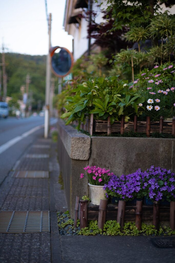 Evening stroll - Nagahama, Shiga