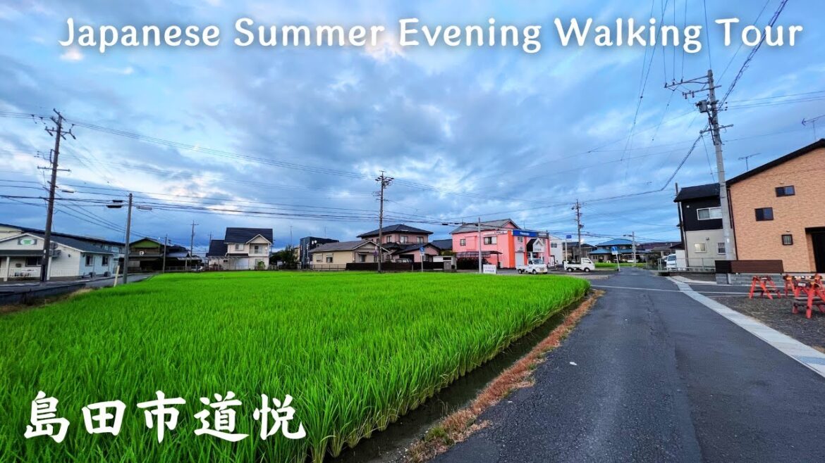 【4K】島田市道悦 – Japanese Summer Evening Walking Tour / Japan / DJI Pocket 2 【4K】島田市道悦 - Japanese Summer Evening Walking Tour / Japan / DJI Pocket 2