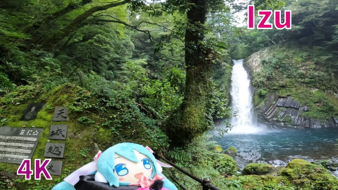 伊豆修善寺・河津七滝+1をミク&ルカ散歩 ― MikuLuka Izu Walk, 7+1 Waterfalls & Shuzenji (Sept. 2023) 伊豆修善寺・河津七滝+1をミク&ルカ散歩 ― MikuLuka Izu Walk, 7+1 Waterfalls & Shuzenji (Sept. 2023)