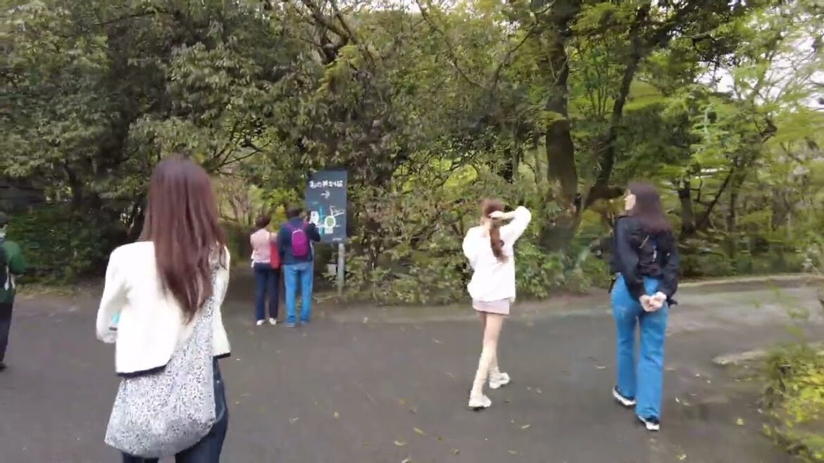 🇯🇵 2023 Yufuin Travel in Japan, kyushu - Japan walking tour