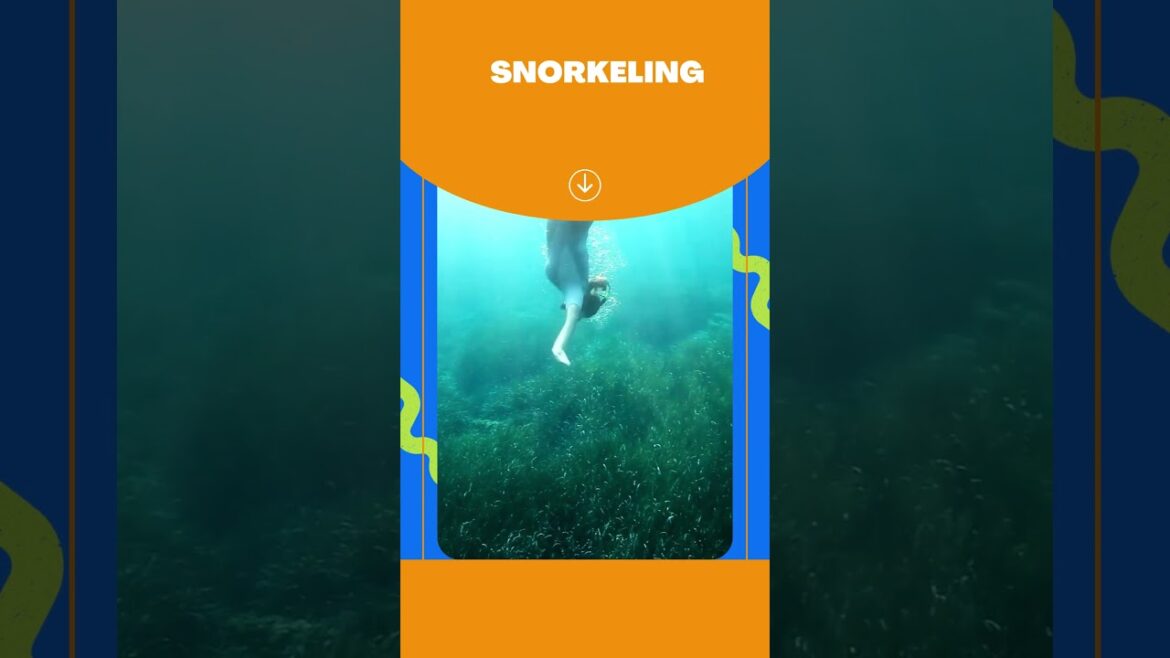 Okinawa Japan - Must-See Spots #shorts #japantravel