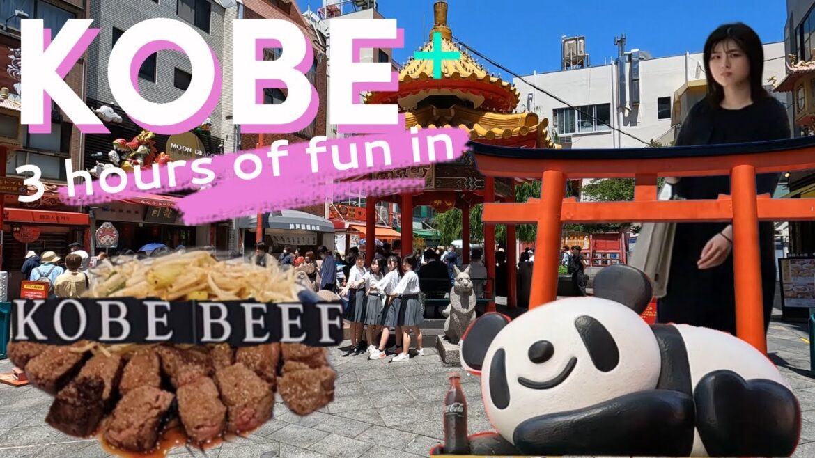 3 hours Solo in Kobe ๐ฏ๐ต Kobe beef, Chinatown, Ikuta Shrine, Sannomiya. Wish I stayed Longer 4k Japan 3 hours Solo in Kobe ๐ฏ๐ต Kobe beef, Chinatown, Ikuta Shrine, Sannomiya. Wish I stayed Longer 4k Japan