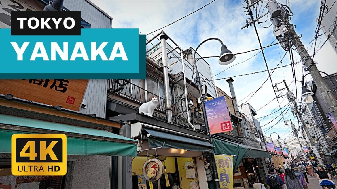 Glimpse of Retro Tokyo in Yanaka [4K]