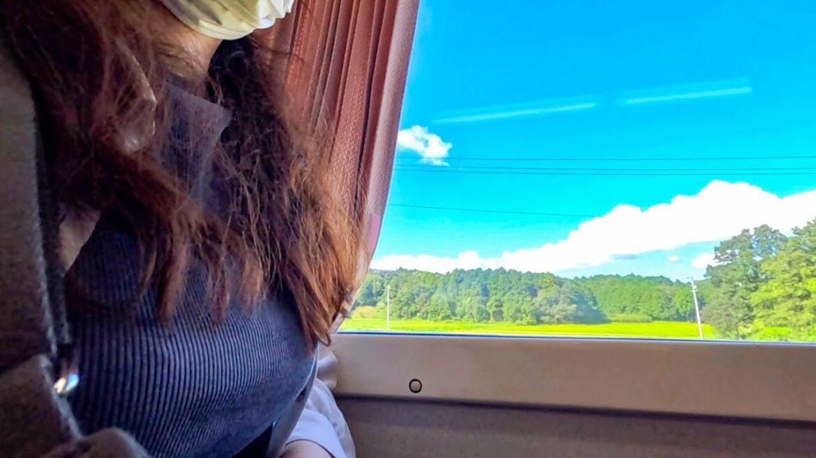 【480km青春18きっぷの旅】女ひとりで東京〜伊勢まで行った。途中下車して名古屋のぴよりんカフェにも寄ったよ。 【480km青春18きっぷの旅】女ひとりで東京〜伊勢まで行った。途中下車して名古屋のぴよりんカフェにも寄ったよ。