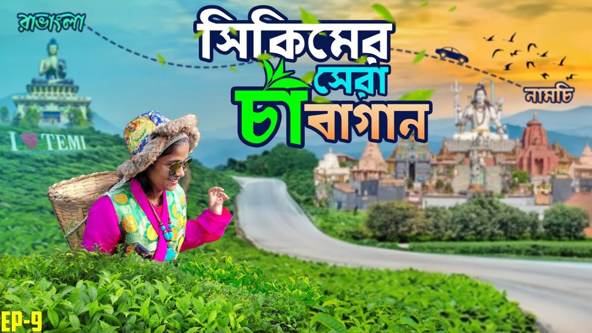 সিকিমে ঘোরার সেরা জায়গা : Ravangla Buddha Park Temi Tea Garden | Namchi Char Dham Tour Vlog সিকিমে ঘোরার সেরা জায়গা : Ravangla Buddha Park Temi Tea Garden | Namchi Char Dham Tour Vlog