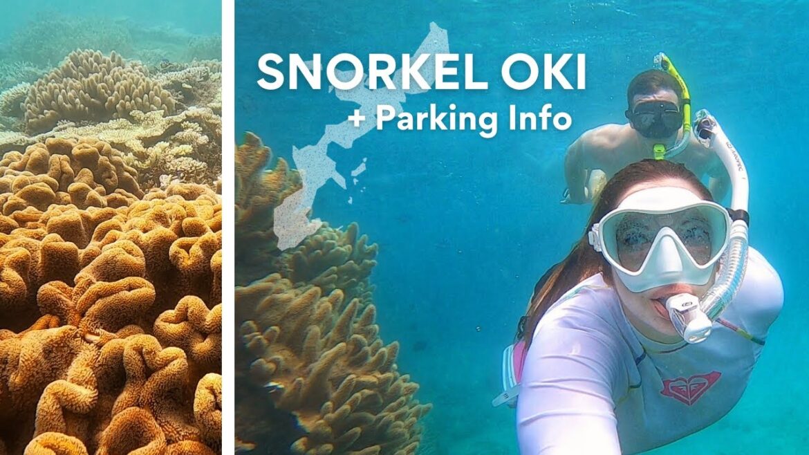 Okinawa Snorkeling Guide: 5 Stunning Underwater Paradises [Parking, Facilities, Rental Info + More]