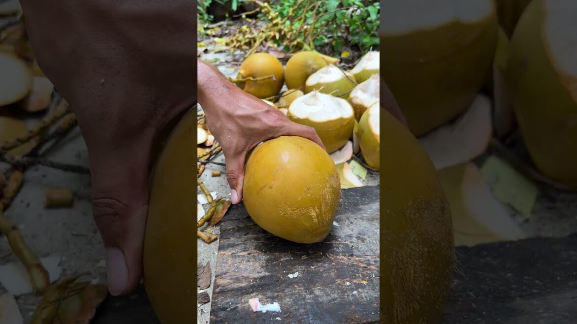 Golden coconut cutting skill #shorts #streetfood #viral #coconut #asmr