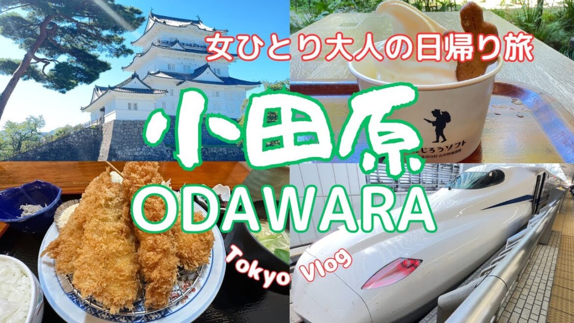 【Tokyo Walk & Gourmet】人気店の絶品アジフライを食べに行く小田原/女ひとりでも海に行きたい時はある/新幹線で東京駅から30分/小田原城/日帰り天然温泉/日帰り旅 【Tokyo Walk & Gourmet】人気店の絶品アジフライを食べに行く小田原/女ひとりでも海に行きたい時はある/新幹線で東京駅から30分/小田原城/日帰り天然温泉/日帰り旅