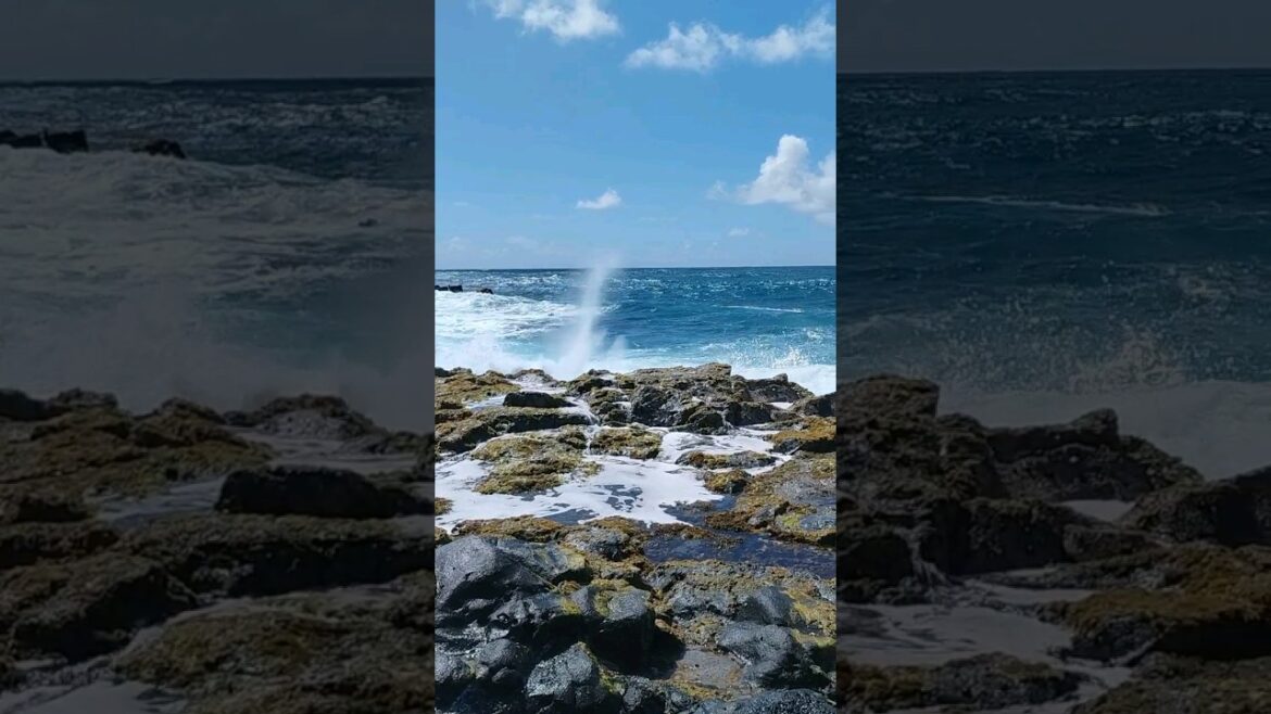 Spectacular crashing waves on rocky shore of Mauritius #shorts #utube