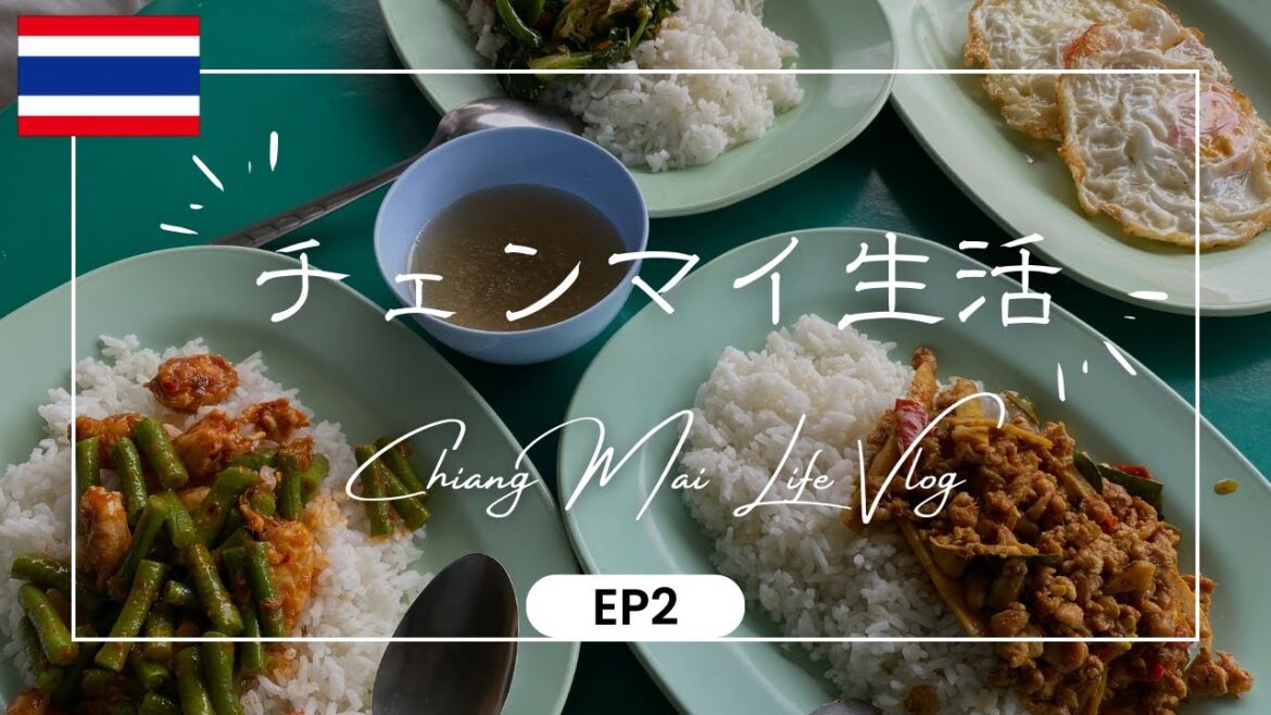 【Thailand life 🇹🇭 タイ生活 EP1】チェンマイの日常生活！ローカル食堂での朝食＆スーパーでの買い物｜旧市街散策｜