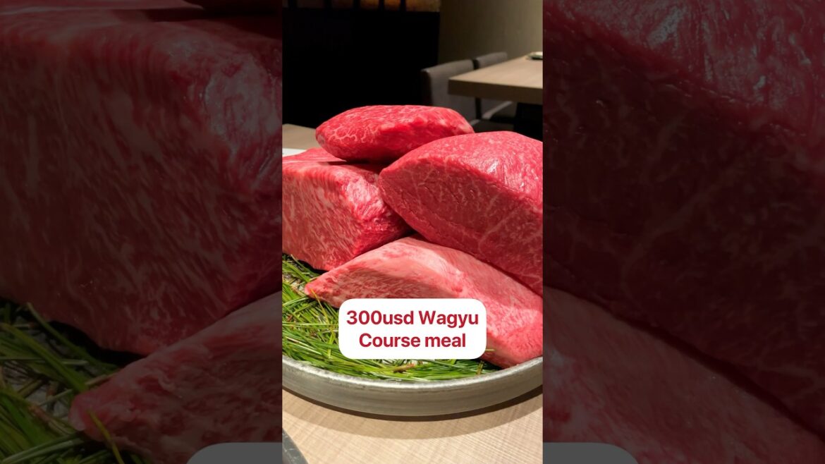 💸$300 WAGYU in Japan💸 #japantravel #japanthings #wagyu #japanfood