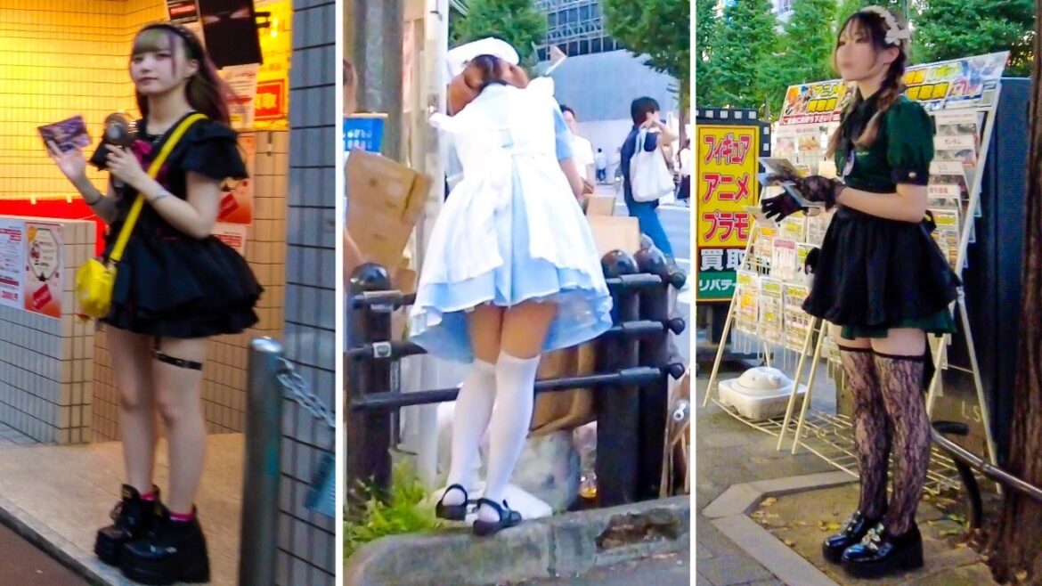 4K:秋葉原散歩|コンカフェが多い通りやメイン通りの様子|TOKYO WALK 4K:秋葉原散歩|コンカフェが多い通りやメイン通りの様子|TOKYO WALK