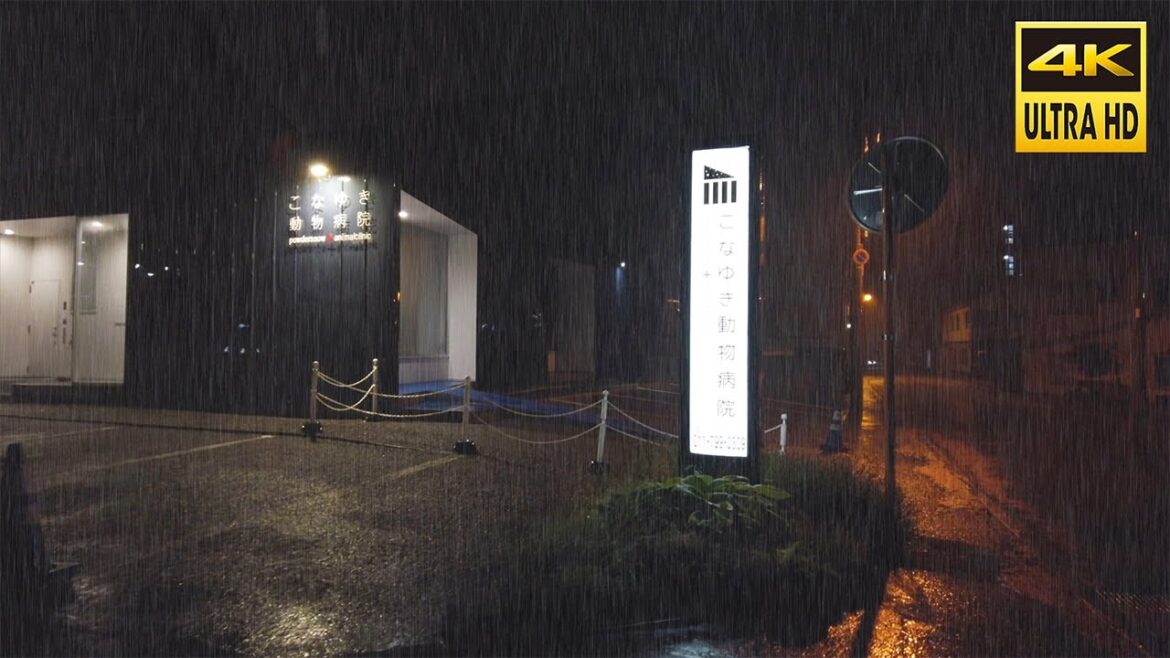 【4K】月寒中央 真夜中の激しい雨 散歩 2023 | 日本 北海道 札幌 豊平区【Binaural ASMR】 【4K】月寒中央 真夜中の激しい雨 散歩 2023 | 日本 北海道 札幌 豊平区【Binaural ASMR】