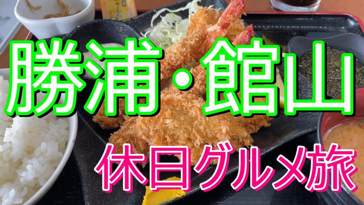 【千葉県・勝浦/館山】休日ドライブ!!グルメ旅!!【房総半島・一人旅・名物グルメ・千葉観光・旅行動画】