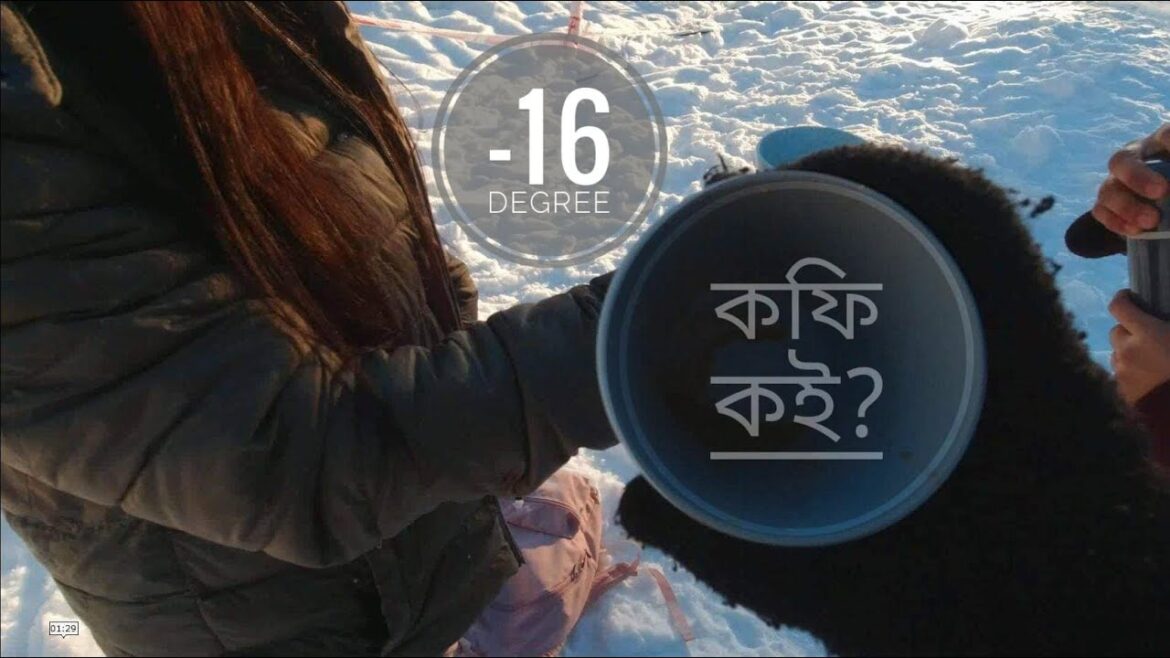 অনেক ঠান্ডা ! | Coffee? | Ski in winter | Pranto & Antora in Norway অনেক ঠান্ডা ! | Coffee? | Ski in winter | Pranto & Antora in Norway