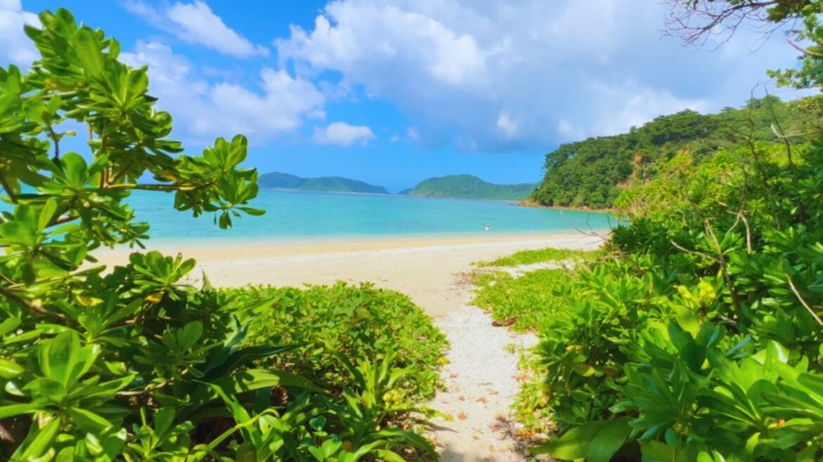 Come with me as I take you to the most beautiful beach in Japan: Ida Beach on Iriomote Island【4K】