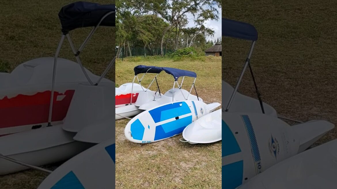 Stand up paddle | Sea Kayaking | Windsurfing | Anantara Iko Mauritius Resort #shorts #utube Stand up paddle | Sea Kayaking | Windsurfing | Anantara Iko Mauritius Resort #shorts #utube