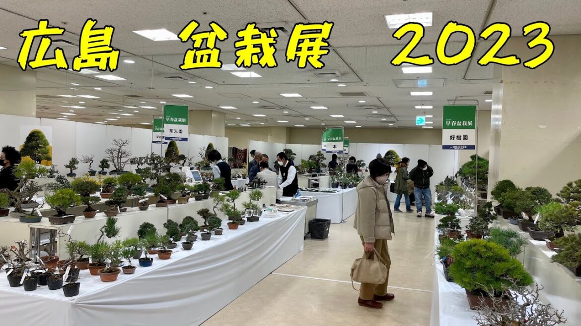 Hiroshima Bonsai Show とても素敵な盆栽展でした! Hiroshima Bonsai Show とても素敵な盆栽展でした!