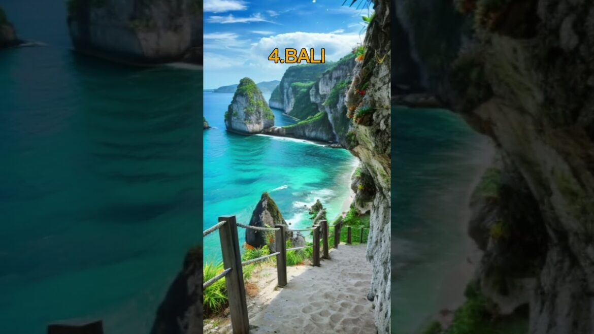 Which One? 🤔 #shorts #holiday #facts Which One? 🤔 #shorts #holiday #facts