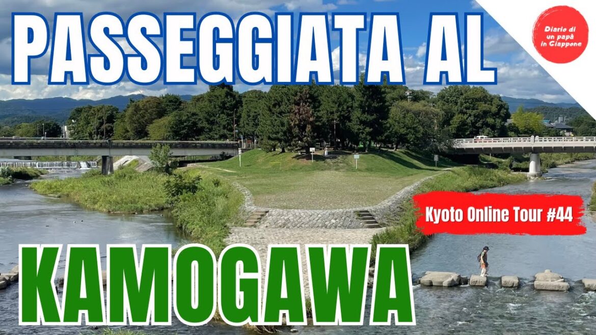 DIRETTA DA KYOTO: PASSEGGIATA AL KAMOGAWA (GIAPPONE) DIRETTA DA KYOTO: PASSEGGIATA AL KAMOGAWA (GIAPPONE)