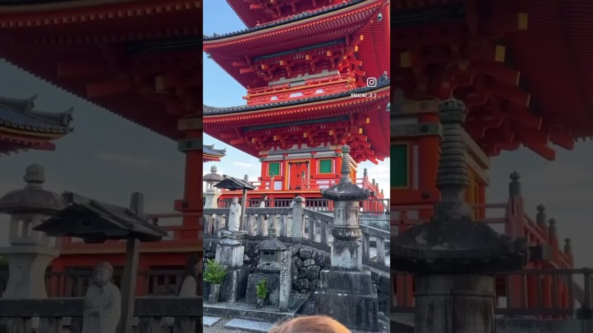 짧게 정리해보는 오사카, 교토 여행기