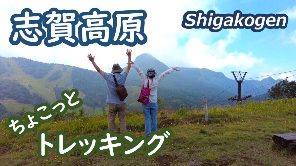 志賀高原の手軽なトレッキングコースを二つ歩きました Shigakogen Nagano Japan|シニア・長野移住ライフ|田舎暮らし vlog 113 志賀高原の手軽なトレッキングコースを二つ歩きました Shigakogen Nagano Japan|シニア・長野移住ライフ|田舎暮らし vlog 113