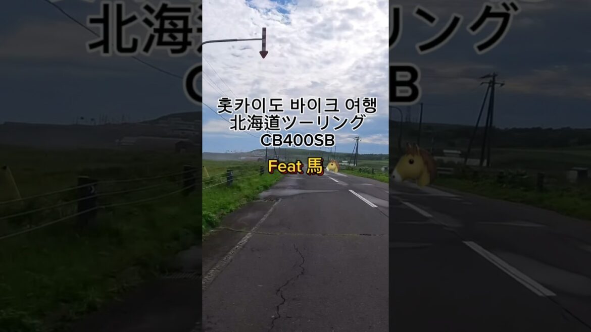 홋카이도 바이크 여행중 진정한 라이더를 만나다.  北海道ツーリング中ライダーと出会い #홋카이도 여행 #バイクキャンプ #CB400SB
