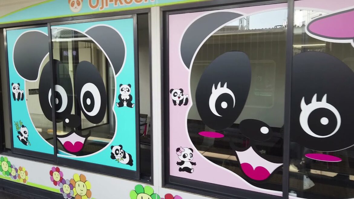 Hospital Visit and Temple Tour in Rokko