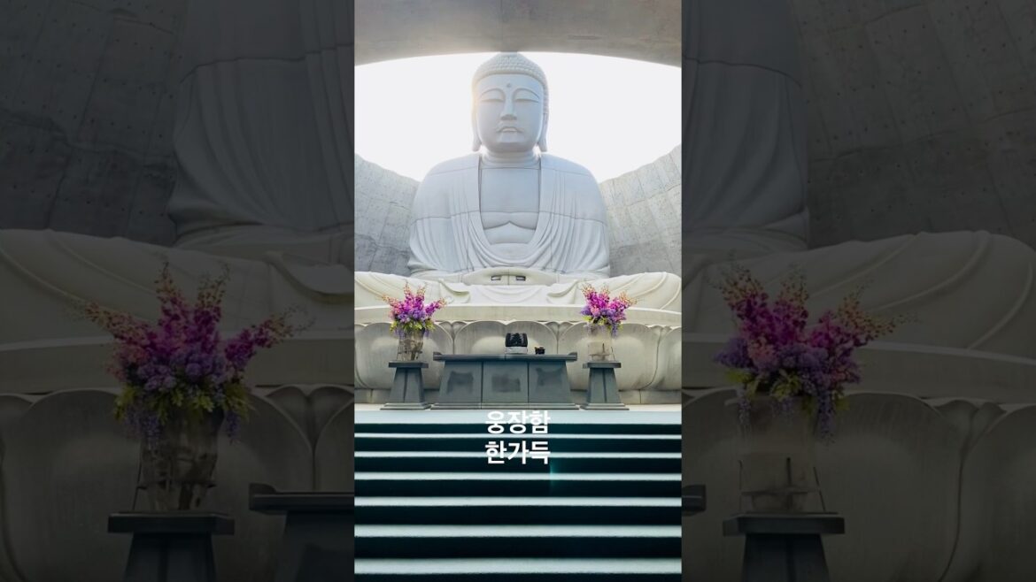 마흔 중반의 #JR패스 #일본전국기차여행 - 16. #오타루 #삿포로 / 홋카이도 여행 Part. 2