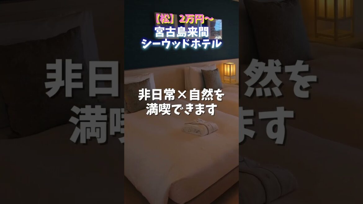 宮古島🌺映えホテル３選　#shorts #宮古島 #宮古島旅行 #宮古島ホテル