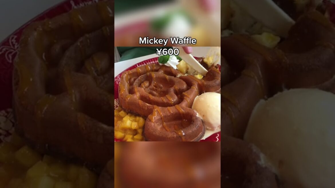 What Things Cost at Tokyo Disneyland Part 2