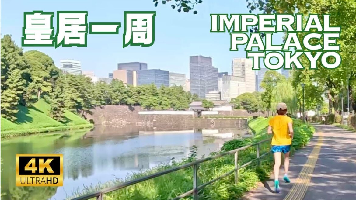 [4K] Around the Imperial Palace in TOKYO 🇯🇵🐧 Nonstop Walking Tour / 皇居一周 皇居ラン 東京 散歩