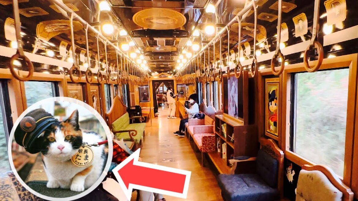 たま駅長ミュージアムが電車になって豪華登場!日本一寝台列車『ななつ星』を手がけた巨匠の創作!これなら410円で乗れる たま駅長ミュージアムが電車になって豪華登場!日本一寝台列車『ななつ星』を手がけた巨匠の創作!これなら410円で乗れる