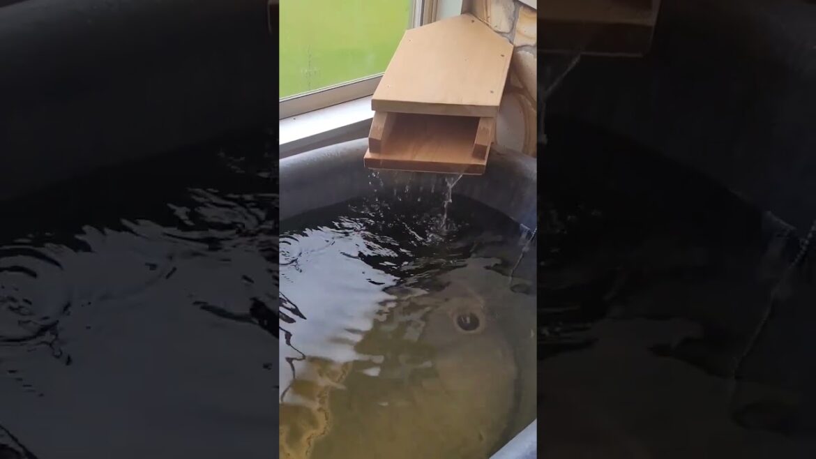 [beppu ryokan] Uminohotel Hajime in fukuoka #shorts