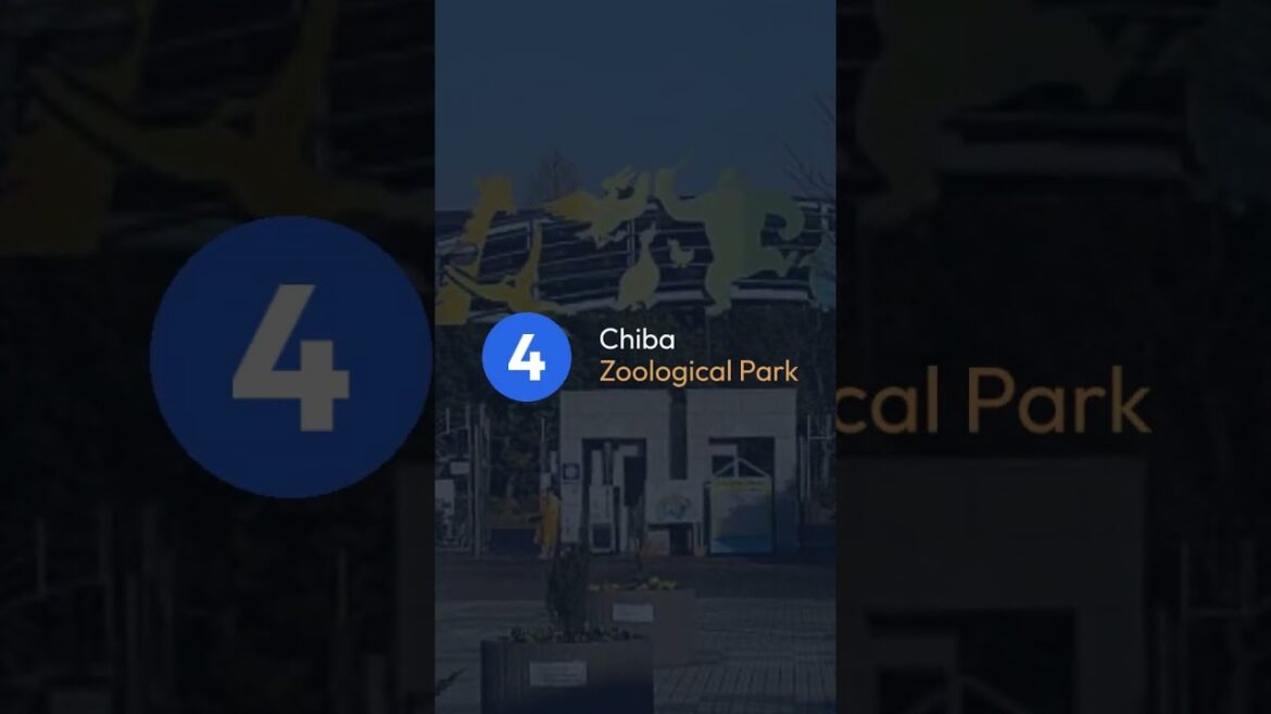 #Chiba
