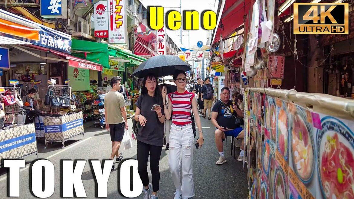 Summer Stroll in Ueno: Exploring Tokyo's Rich History in 4K