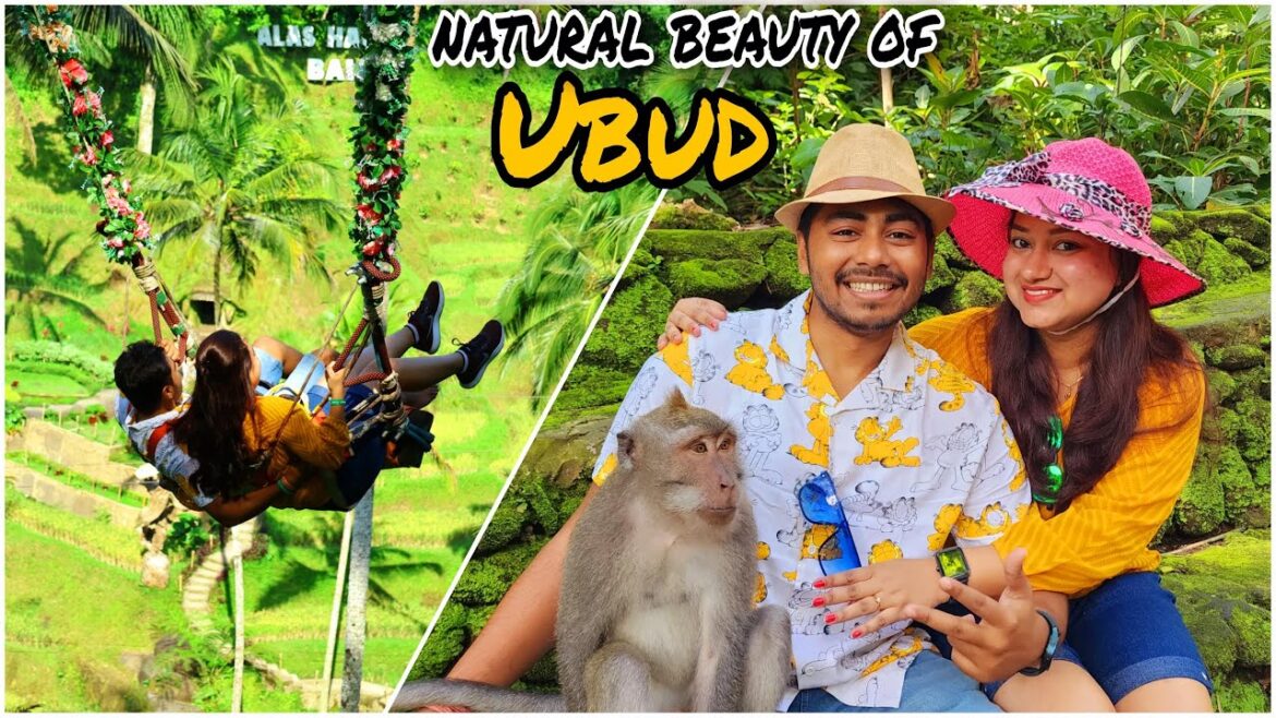 BALI Ep 06 - Day 8 | Ubud : Exotic, natural and most expensive coffee producer | RimJit Stories