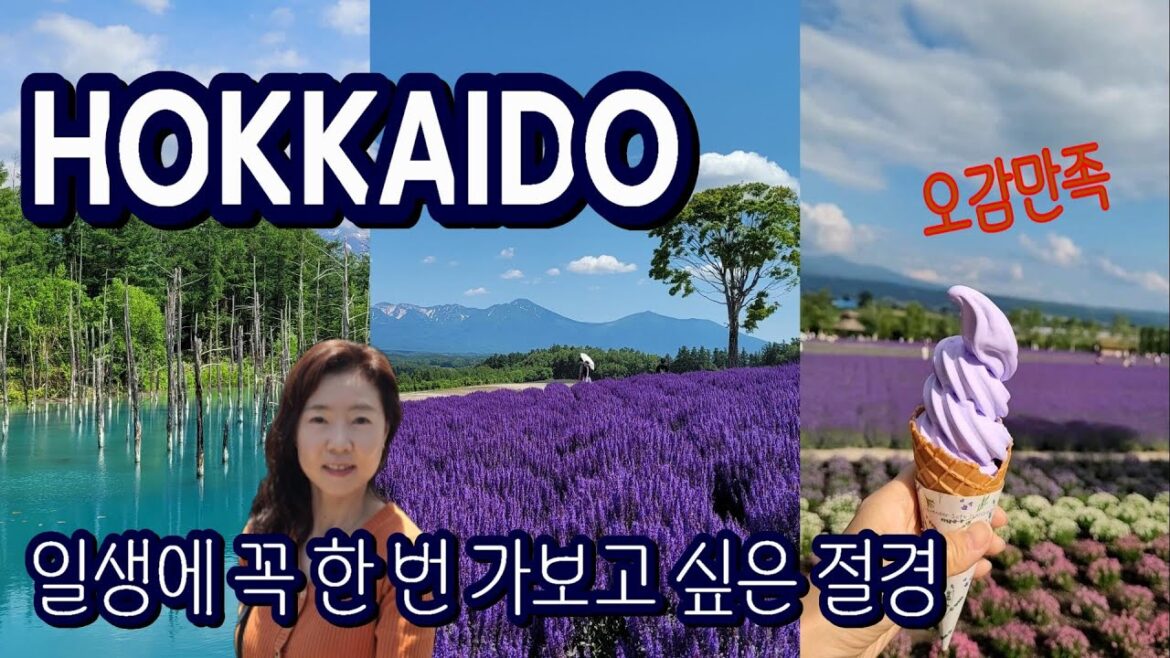 기대 이상의 벅찬 감동 JAPAN 2023년 여름 홋카이도 Vlog 패키지여행 북해도