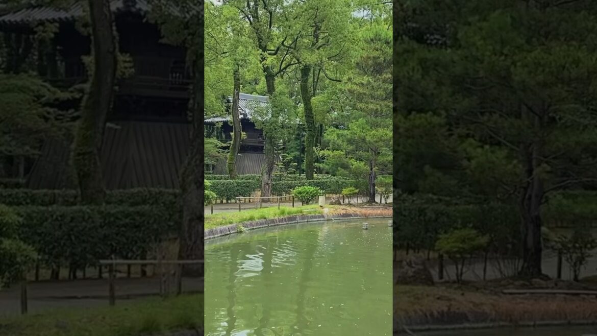 Japan (Aesthetic & Lo-fi Vlog)