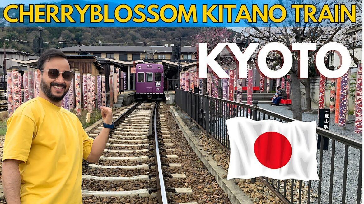 Cherry Blossom Kitano Train in Kyoto | Cherry Blossom Tree in Japan #japan #cherryblossom #kyoto
