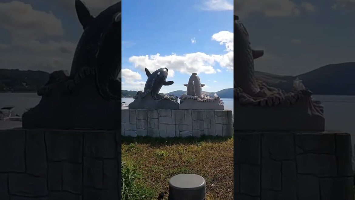 Autumn Vibes at Mt. Fuji 山中湖村